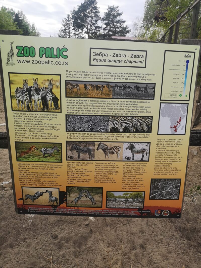 edukativna tabla o zebrama u Zoo vrtu Palić
